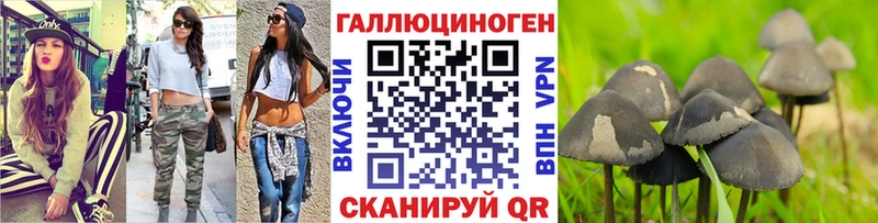 цены наркотик  Сочи  Псилоцибиновые грибы прущие грибы 