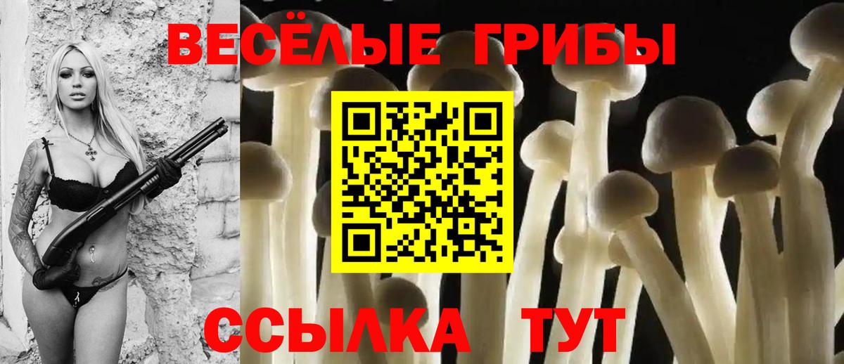 Псилоцибиновые грибы Psilocybe  Вход с VPN  Галлюциногенные грибы мухоморы  Сочи 