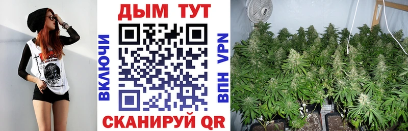 Шишки марихуана сатива  omg вход  Сочи 